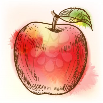 Red apple. Original vector illustration, imitation of watercolor painting