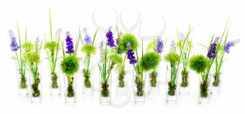 Flower bouquets  from artificial flowers arrangement centerpiece in glass vases on white background.