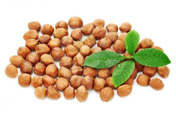 Heap of fresh shelled hazelnuts with green leaves isolated on white background. Close-up.