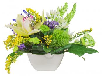 Bouquet from orchids in white vase isolated on white background. Closeup.