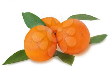 Fresh tangerines with green leaves isolated on white background. Closeup.