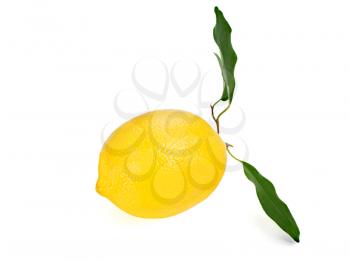 yellow ripe lemon with leaves isolated on a white background