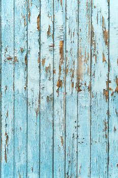 Old blue wood plank background.