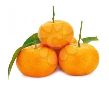 Fresh ripe tangerines with green leaves isolated on white background.