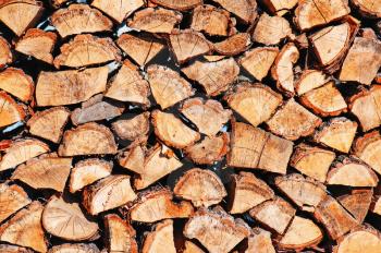 woodpile from dry oak logs