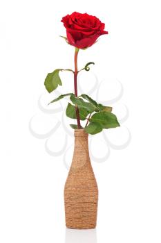 Red rose in decorative vase isolated on white background. Closeup.
