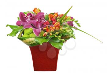 Bouquet from orchids and lilies in red vase isolated on white background. Closeup.