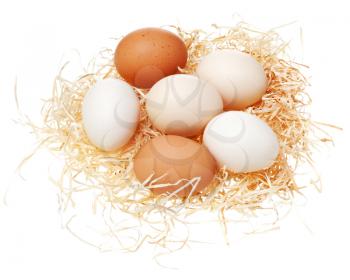 Eggs in straw nest isolated on white background.