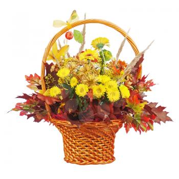 Flowers arrangement centerpiece in wicker basket  isolated on white background. 