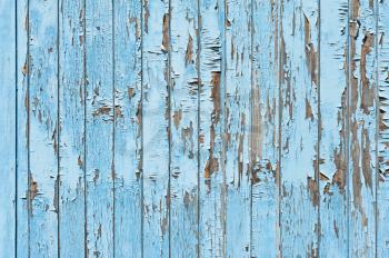 Old blue wood plank background. Closeup.