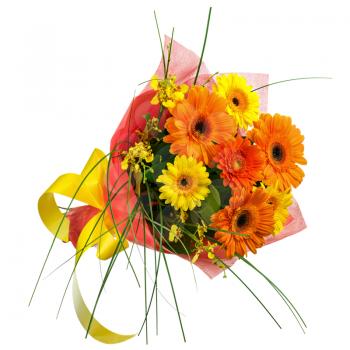 Bouquet from Gerbera Flowers Isolated on White Background. Closeup.