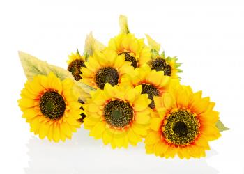 Composition from bright artificial sunflowers isolated on white background. Closeup.