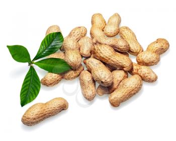 Pile of dry roasted peanuts with green leaves isolated on white background. Closeup.