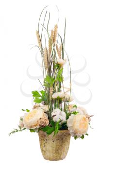 Bouquet from peony flowers, cotton balls and ears of wheat in stylish vase isolated on white background.