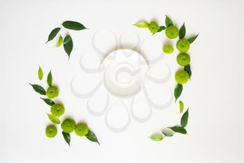 Plate with decoration of chrysanthemum flowers and ficus leaves on white background. Overhead view. Flat lay.