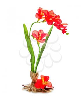 Still life from artificial flowers of freziya isolated on white background.