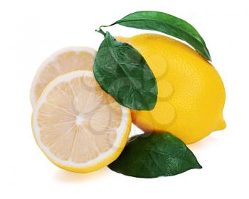 Fresh lemon citrus with cut and green leaves isolated on white background.