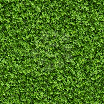 Green Bush. Seamless Tileable Texture.