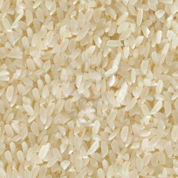 Seamless Tileable Texture of Rice.