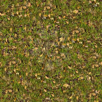 Dry Oak Leaves on Young Green Grass. Seamless Tileable Texture.