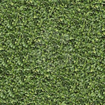 Laurel Bush Surface. Seamless Tileable Texture.