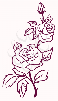 three stylized pale roses  isolated on light  background, vector illustration 
