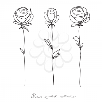 Roses. Collection of isolated flower sketch on white background. The continuous line doodled design.