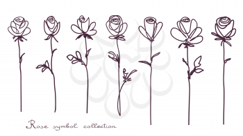 Roses. Collection of isolated rose flower sketch on white background. The continuous line doodled design.