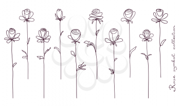 Roses. Collection of isolated rose flower sketch on white background. The continuous line doodled design.