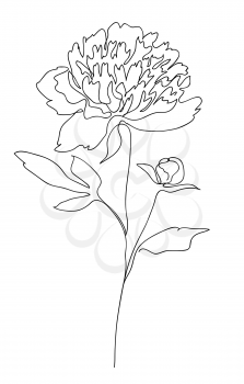 Beautiful peony flower. Line art concept design. Continuous line drawing. Stylized flower symbol. Vector illustration