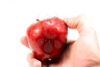 Royalty Free Photo of a Hand Holding an Apple