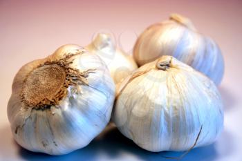 A few garlic heads isolated on white