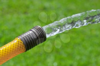 Water flowing from a garden hose over the green grass

