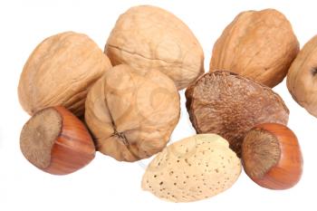 Macro shot of several nuts over white