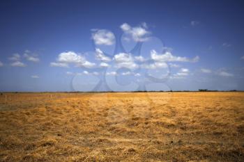 Huge prairie field with a nice blue sky
