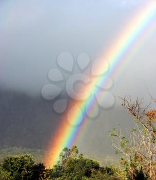 Beautiful rainbow over a rain forest mountain