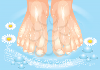 foot care. foot bath with a camomile
