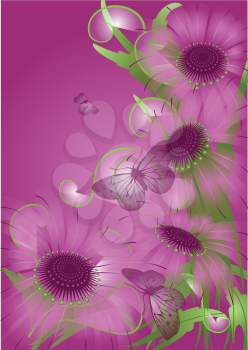 violet background with unusual purple flowers