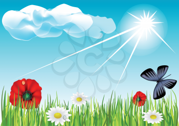 vector background. Field with butterflies and flowers