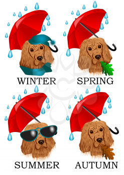 Weather in Britain. Dog under constant rain isolated on white