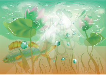 water flowers and fish. underwater background