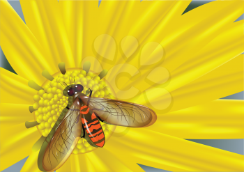 yellow flower and colored fly. 10 EPS