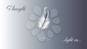white feather and slogan on grey background