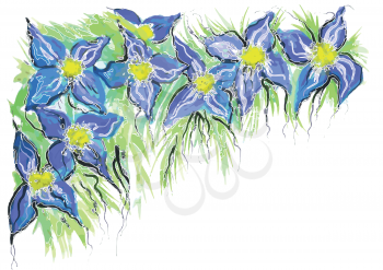 blue flowers in watercolor isolated on white background