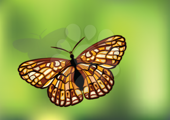 Checkerspot. Butterfly on green background. 10 EPS
