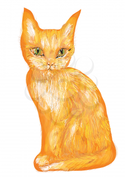 orange tabby kitten isolated on white background