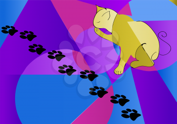 cat and his traces on multicolor abstrct background