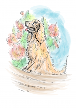dog and flowers. sketch on multicolor bacground