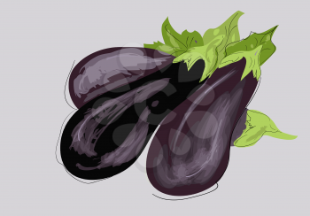 three eggplants with leaves. vector illustration