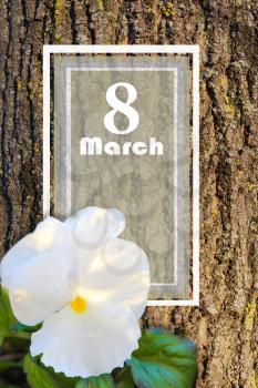  8 march background to the 8th of March (Women's Day)